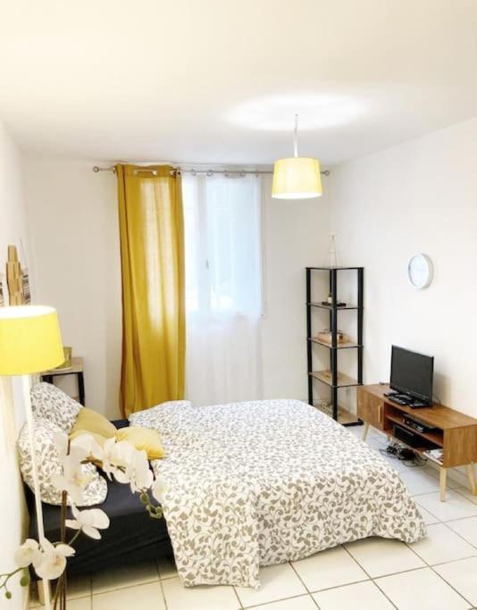 Studio A 5 Mn A Pied De La Gare Saint-Roch Montpellier Zewnętrze zdjęcie